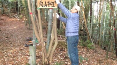 山王山登山道に案内看板を設置しました