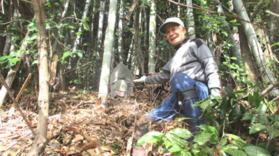 第２回山王山登山道整備を行いました