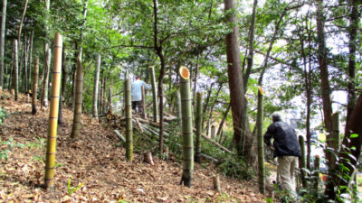 第３０回山王山登山道整備を行いました