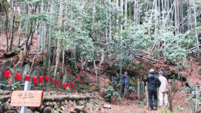 第３２回山王山登山道整備を行いました