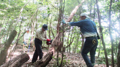 第４８回山王山登山道整備を４名で行いました