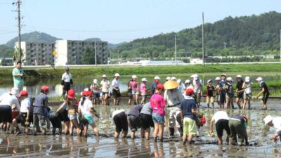 下有知小学校農業体験学習の活動実施