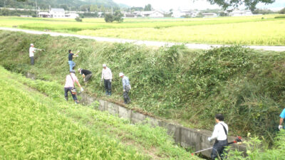 下有知南部保全組合（二区）の草刈奉仕作業