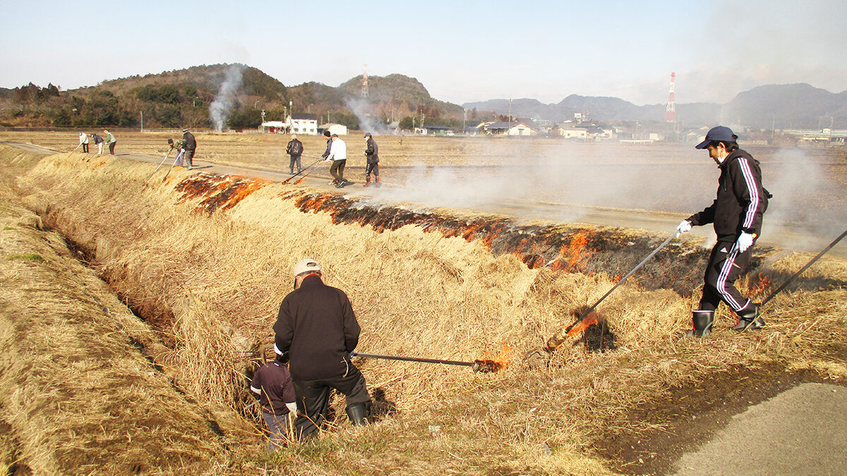下有知２区野焼き